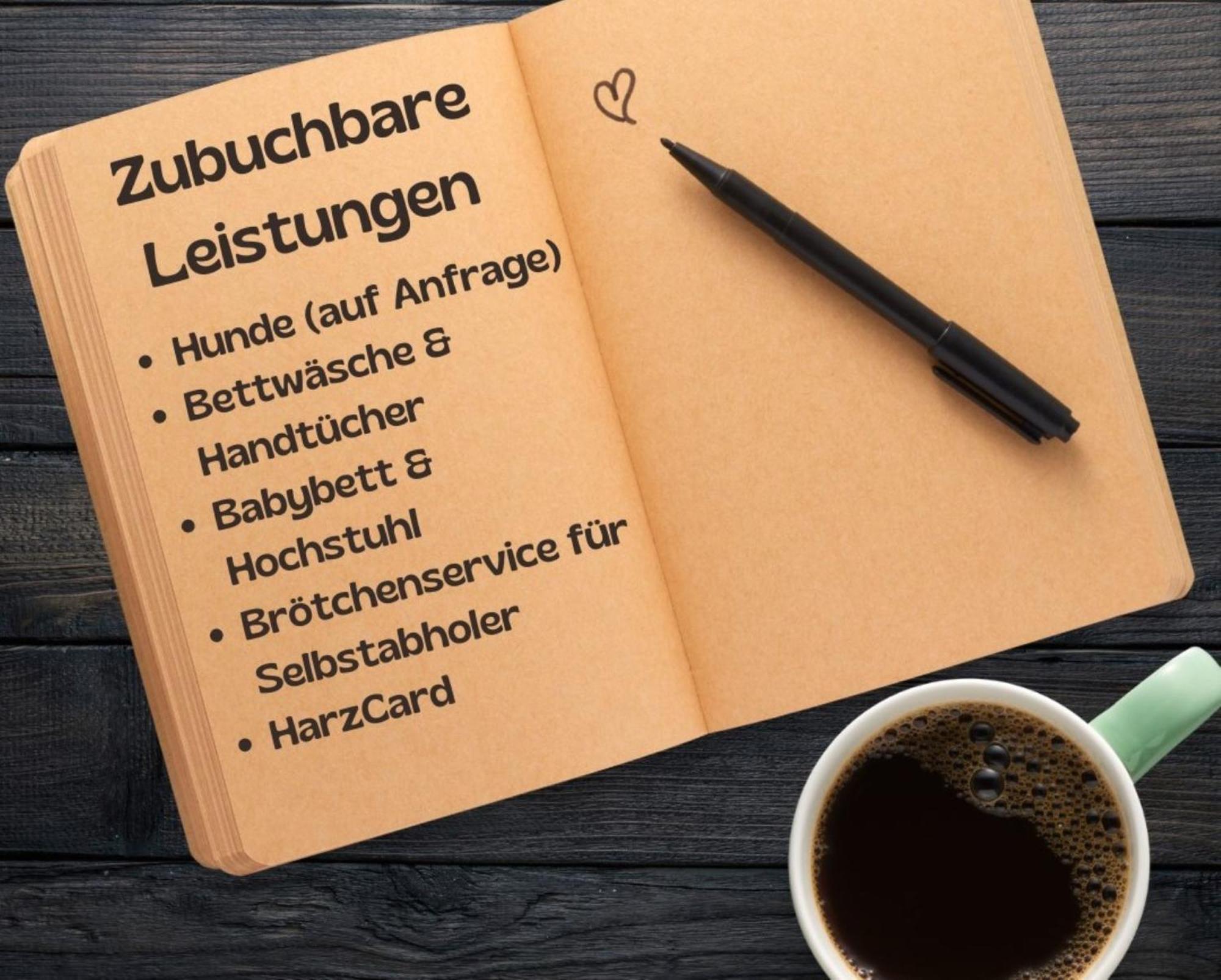 Schlufter Wiese Braunlage Luaran gambar